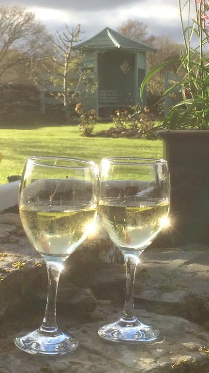 Garth Engan Private Self Contained B&B With Garden Area Llanbedr  Exteriör bild