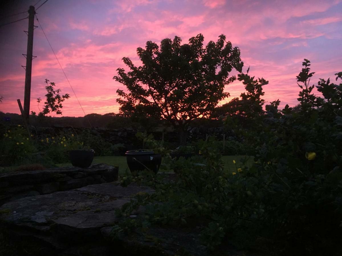 Garth Engan Private Self Contained B&B With Garden Area Llanbedr  Exteriör bild